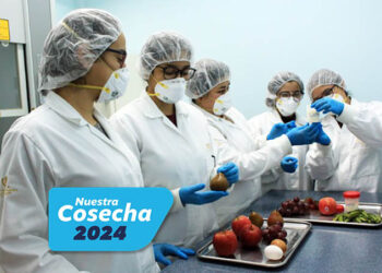 Este año se realizaron un 52% más de gestiones para asegurar la inocuidad de los alimentos que en 2023