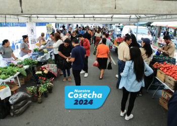 La mesa de los guatemaltecos se llenó de productos frescos gracias a la Feria del Agricultor