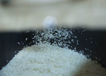 Abre convocatoria para solicitar certificados de compra de arroz en granza