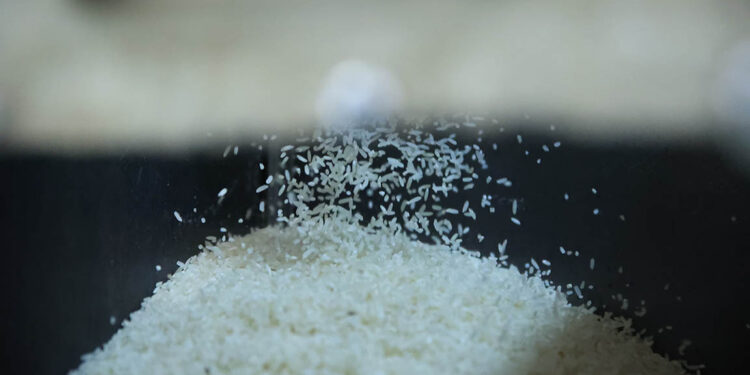 Abre convocatoria para solicitar certificados de compra de arroz en granza