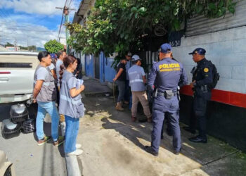 Acciones de la UBA por muertes de gatos en hospital de La Verbena