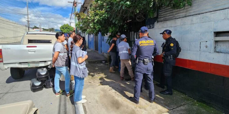 Acciones de la UBA por muertes de gatos en hospital de La Verbena