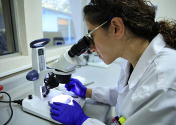 Acciones implementadas mantienen control del Gusano Barrenador del Ganado