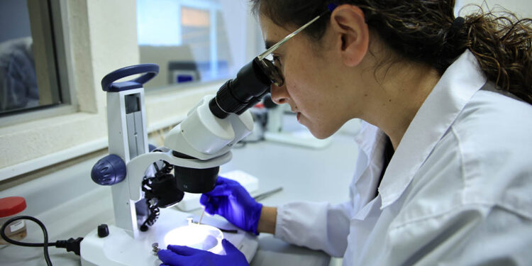 Acciones implementadas mantienen control del Gusano Barrenador del Ganado