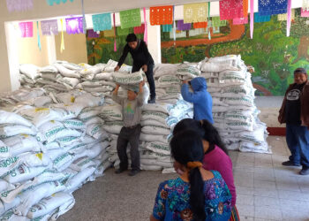 Agricultores familiares de Panajachel, Comitancillo y Camotán reciben Bono Campesino
