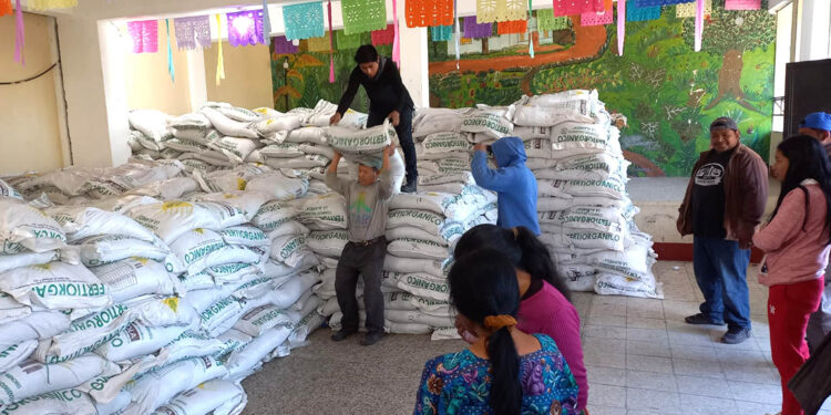 Agricultores familiares de Panajachel, Comitancillo y Camotán reciben Bono Campesino