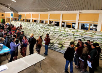 Agricultura familiar y el desarrollo rural reciben impulso gracias al Bono Campesino