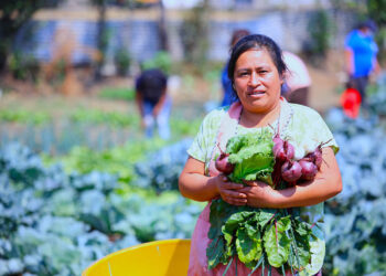 Agricultura sensible a la nutrición
