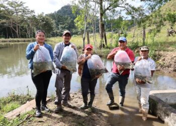 Entregan cuatro mil alevines a productores del caserío El Pañuelo, Poptún