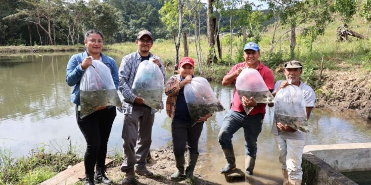 Entregan cuatro mil alevines a productores del caserío El Pañuelo, Poptún