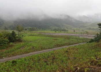 Análisis meteorológico para la semana del 28 al 31 de enero