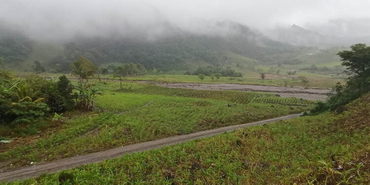 Análisis meteorológico para la semana del 28 al 31 de enero
