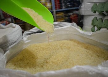 La importancia del arroz como cultivo y alimento