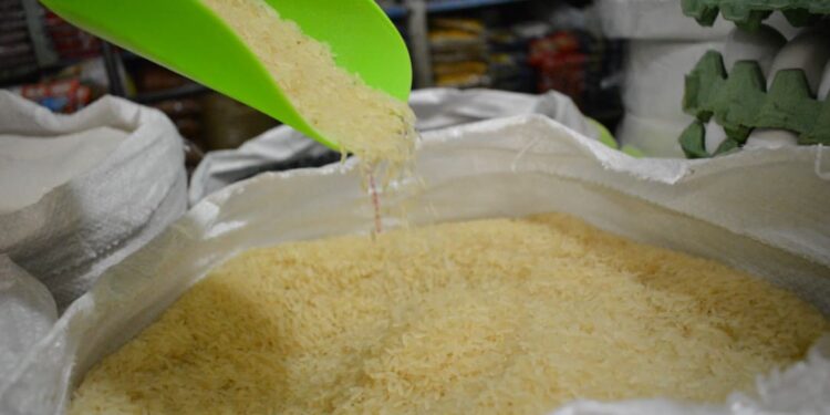 La importancia del arroz como cultivo y alimento