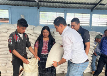 Asistencia alimentaria llegará a más de 35 mil familias