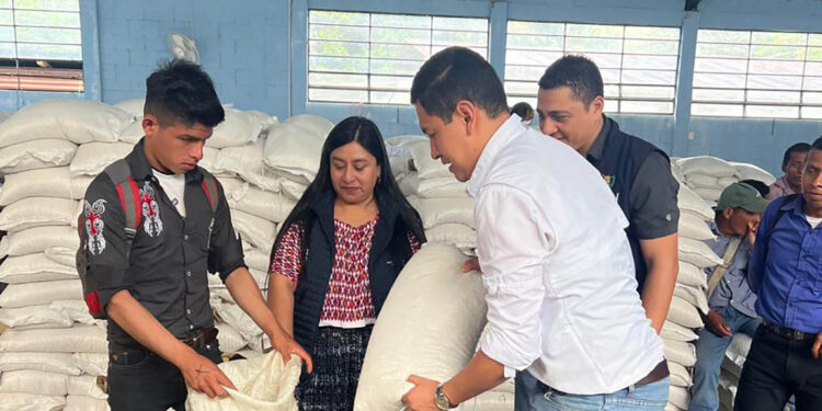 Asistencia alimentaria llegará a más de 35 mil familias