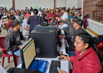 Avanza entrega de Fertilizante en Petén