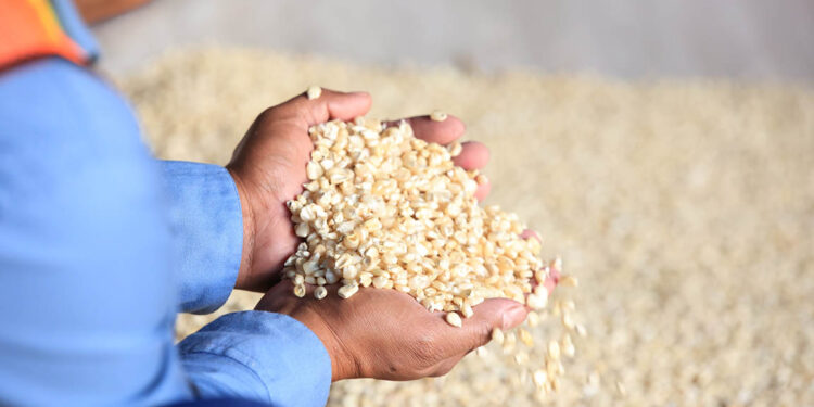 Beneficios del maíz