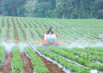 El uso de los biocombustibles en la agricultura