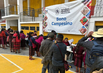 Bono Campesino fortalece agricultura familiar en respuesta a la iniciativa “Mano a Mano”