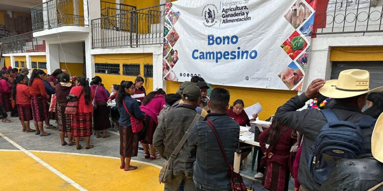 Bono Campesino fortalece agricultura familiar en respuesta a la iniciativa “Mano a Mano”