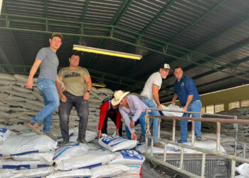 Bono Campesino fortalece la producción agrícola y la seguridad alimentaria