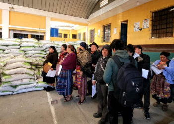 Herramientas para el campo: Bono Campesino impulsa la seguridad alimentaria