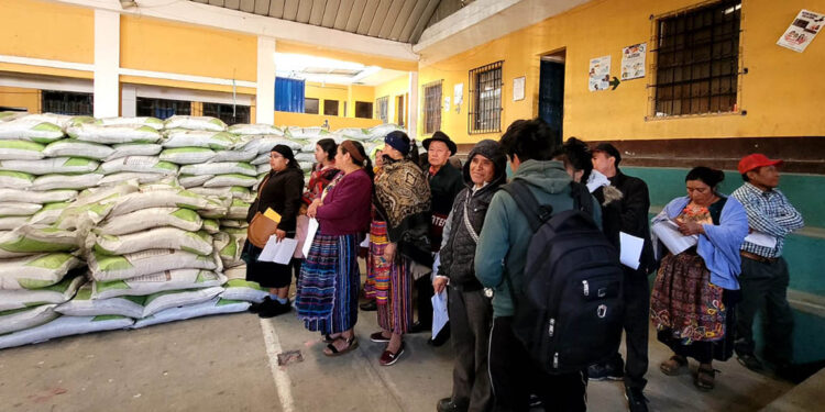 Herramientas para el campo: Bono Campesino impulsa la seguridad alimentaria