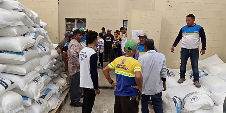 Bono Campesino llega a El Progreso y Santa Rosa