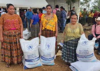 Bono Campesino, modalidad excedentaria, llega a cuatro departamentos