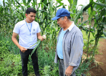 Convocatoria Abierta para el programa Jóvenes Apoyando El Extensionismo Rural: Campesino A Campesino