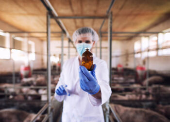 Conozca acerca de la fitozoogenética y la germoplasma