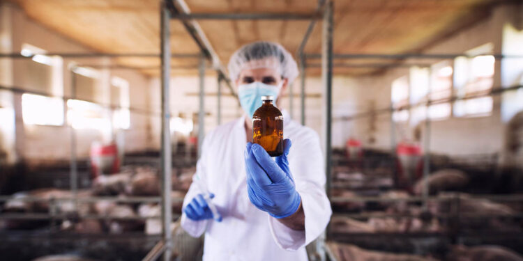 Conozca acerca de la fitozoogenética y la germoplasma