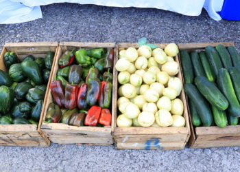 Conozca cuáles son las hortalizas tropicalizadas