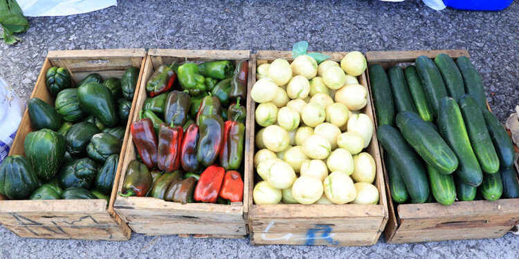 Conozca cuáles son las hortalizas tropicalizadas