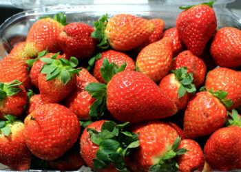 Conozca los alimentos para mejorar su salud