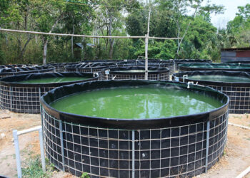 Conozca que hace el Centro Ecoproductivo El Remate