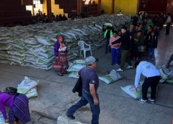 Continuamos fortaleciendo la agricultura con la entrega del Bono Campesino