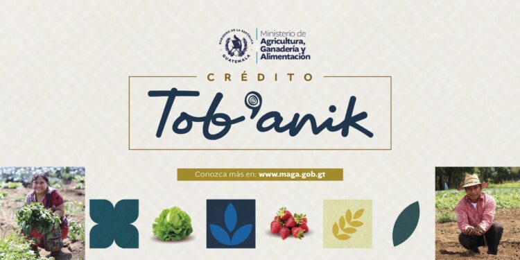 Crédito Tob’anik será un apoyo clave para las y los agricultores en 2025