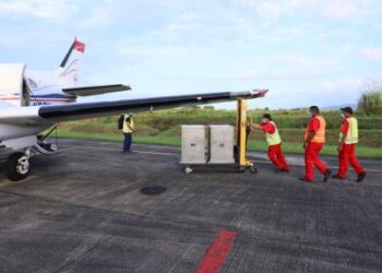 Dispersan 45.2 millones de moscas estériles del Gusano Barrenador del Ganado