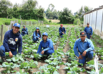 Educación agrícola a jóvenes rurales