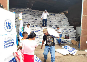 El Bono Campesino fortalece la agricultura familiar de varios municipios del país
