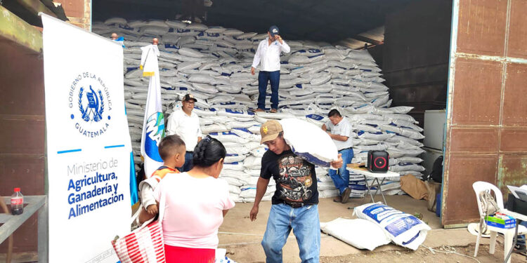El Bono Campesino fortalece la agricultura familiar de varios municipios del país