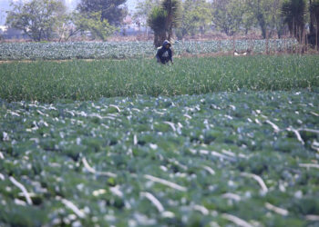 El equilibrio entre la producción agrícola y los ecosistemas