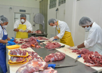 Estos son algunos beneficios de la carne de res