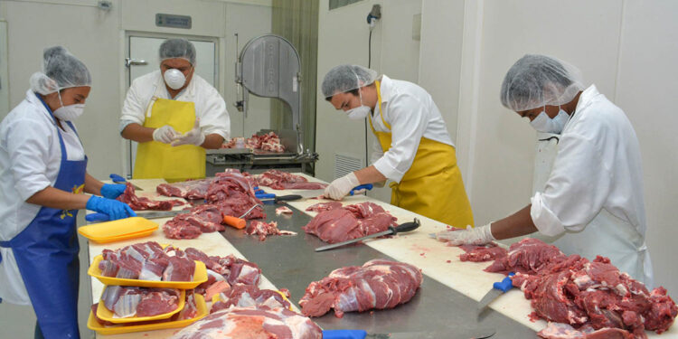 Estos son algunos beneficios de la carne de res