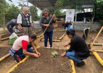 Más de 117 mil personas capacitadas para fortalecer agricultura familiar