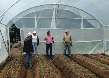 Tecnifican procesos de floricultores de San Marcos