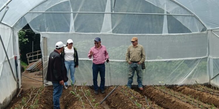 Tecnifican procesos de floricultores de San Marcos