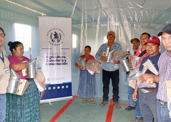 Fortaleciendo la producción apícola con insumos para protección personal